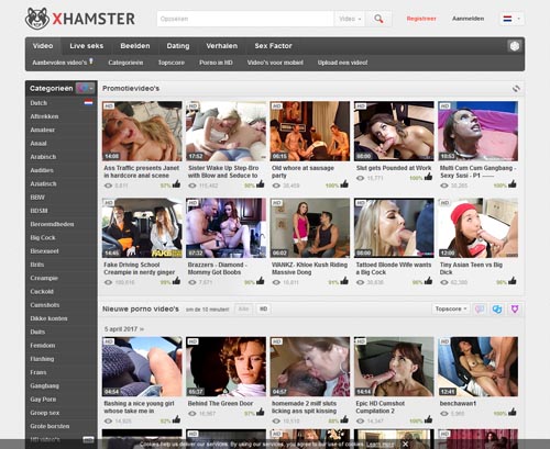 Storiees hamster erotic Most Read